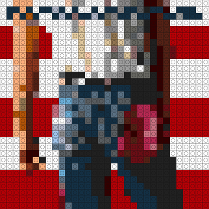 Buildable Brick Albums