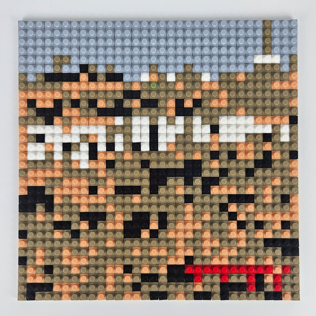 Buildable Brick Albums