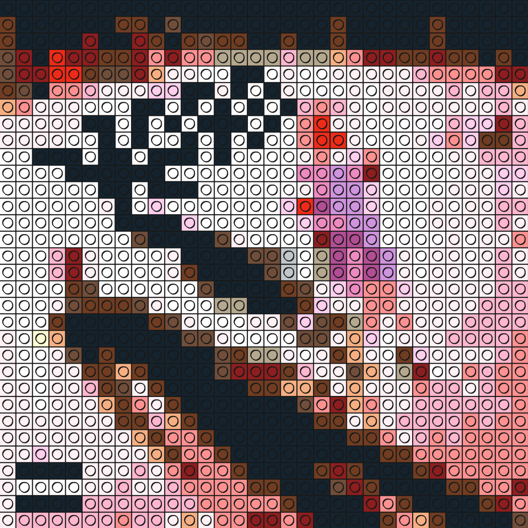 Buildable Brick Albums